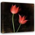 thumbnail image 1 of Rick Filler 15x15 Gallery Wrapped Canvas Wall Art Titled - Species Tulips, 1 of 4