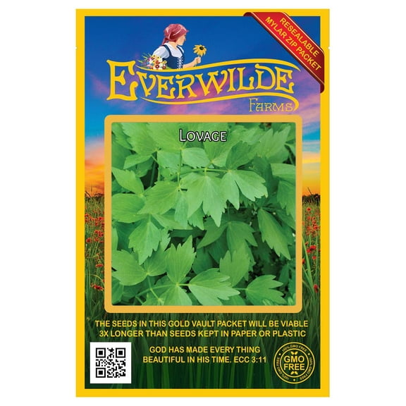 Everwilde Farms - 300 Lovage Herb Seeds - Gold Vault Jumbo Bulk Seed Packet