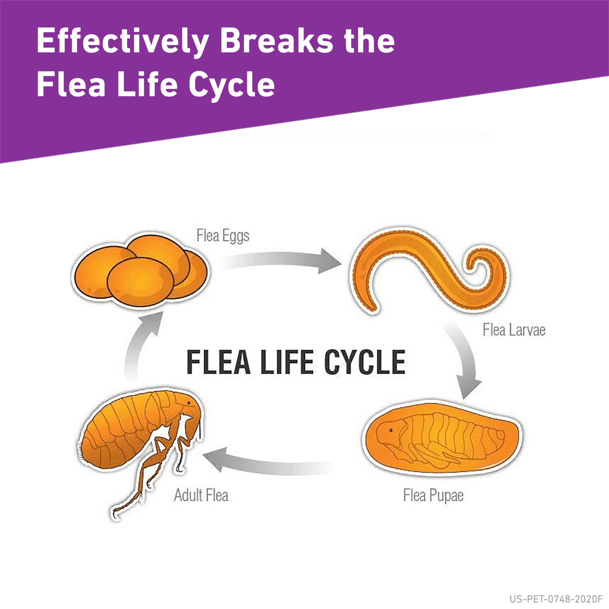 frontline flea walmart