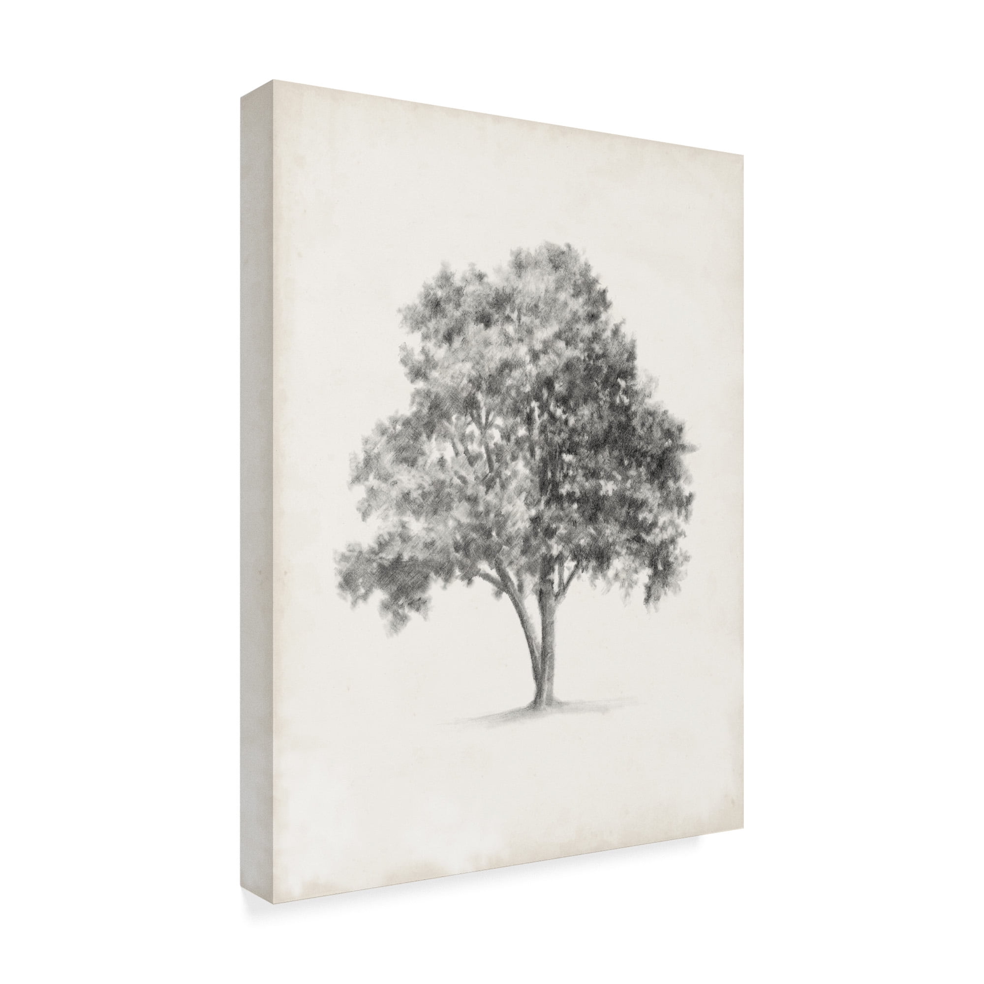 Trademark Fine Art 'Vintage Arbor Study I' Canvas Art by Ethan Harper