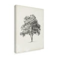 thumbnail image 2 of Trademark Fine Art 'Vintage Arbor Study I' Canvas Art by Ethan Harper, 2 of 4