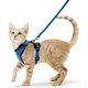 thumbnail image 1 of Arnés para Gatos Correa Ajustable para Perros pequeños Azul XS Arnés para Gatos Reflectante Collar Camiseta sin Mangas Transpirable para Mascotas Gatos Clip Superior con Correa, 1 of 5