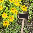 thumbnail image 3 of 20 Pcs Mini Wooden Chalkboard  Signs For Garden Decorations, Use Chalk For Writing Table Numbers Or Names, Suitable For Christmas, Weddings, Kids Crafts, 3 of 8