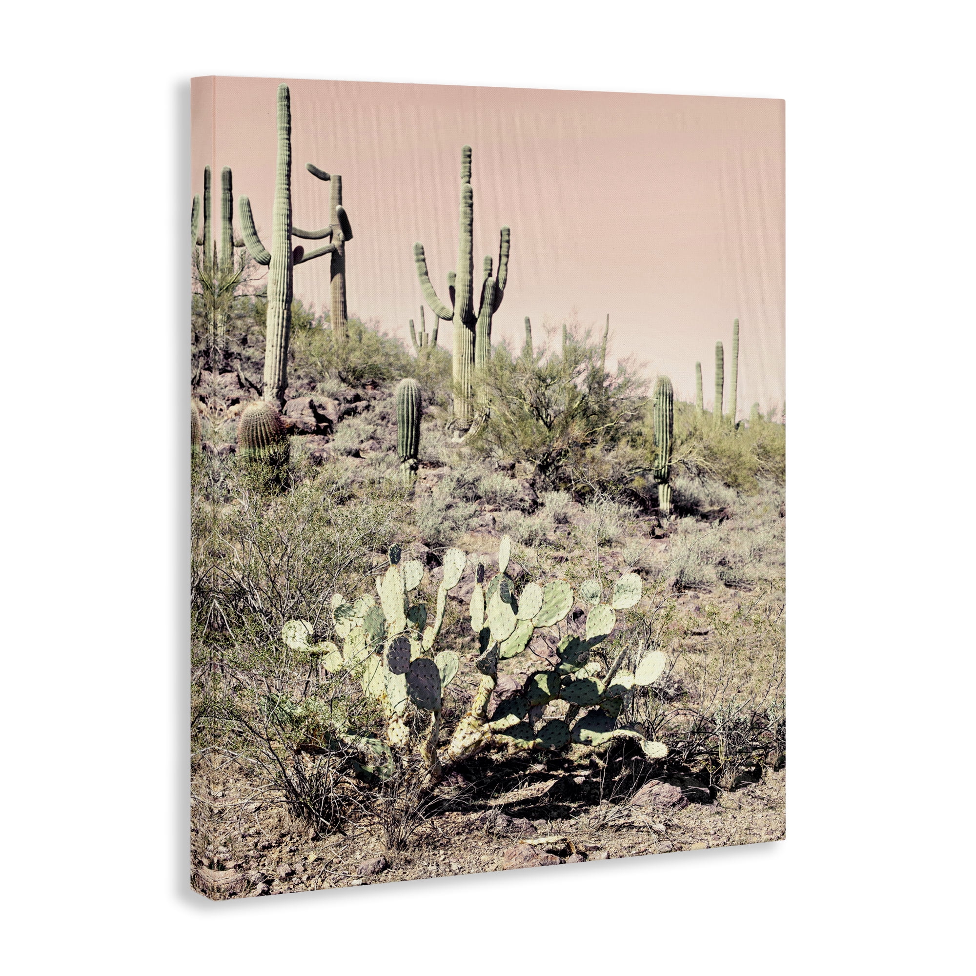Stupell Industries Rustic Desert Scene Landscape & Nature Photography Wrapped Canvas Art Print Wall Art, 24 x 30
