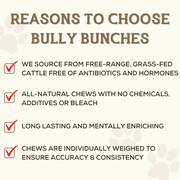 Bully Bunches Premium 6 Inch Jumbo Bully Stick - 6 Pack