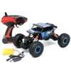 Retailery RC Car 4WD Off Road Monster Rock Terminator Crawler Truck With 2.4GHZ