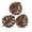 Brown, variant on Green Coasters, Leaf Coasters, Monstera Leaves Coasters for Coffee Table, Green Wooden Cup Mats Set of 3