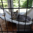 thumbnail image 3 of Hanging Cat Hammock,pet Hammock For Cage Adjustable Cat Bed Sleepy Pad, 3 of 5
