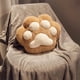 thumbnail image 1 of Cats Claw Multifunctional Pillow Blanket Three In One Car Suitable Folding Blanket Conditioning Blanket Suitable For Home Car Office Lunch Break, 1 of 6