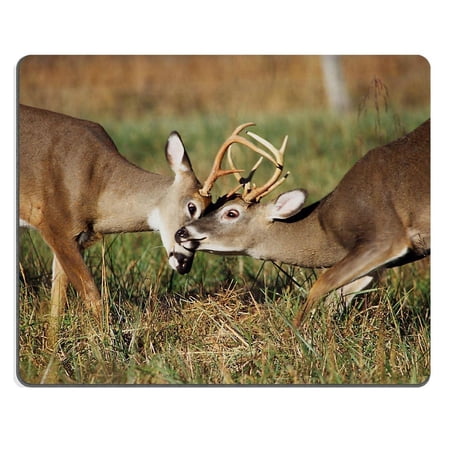 POPCreation A pair of White Tailed Deer bucks sparring Mouse pads Gaming Mouse Pad 9.84x7.87 inches