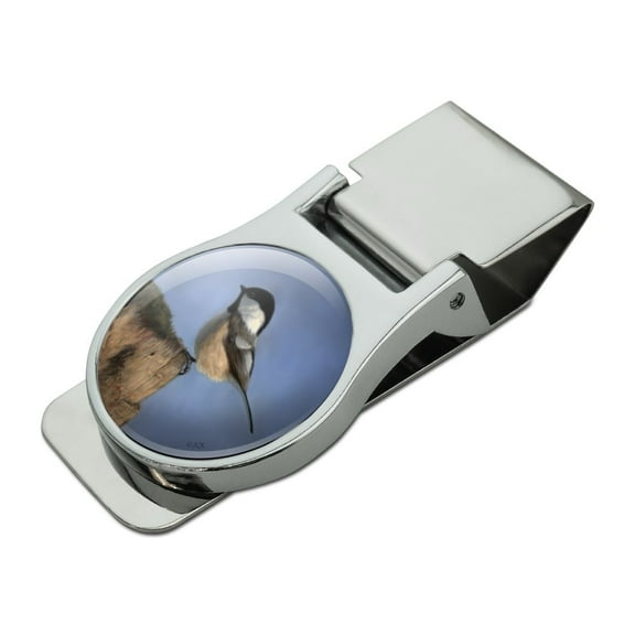 Black-Capped Chickadee Songbird Bird Satin Chrome Plated Metal Money Clip