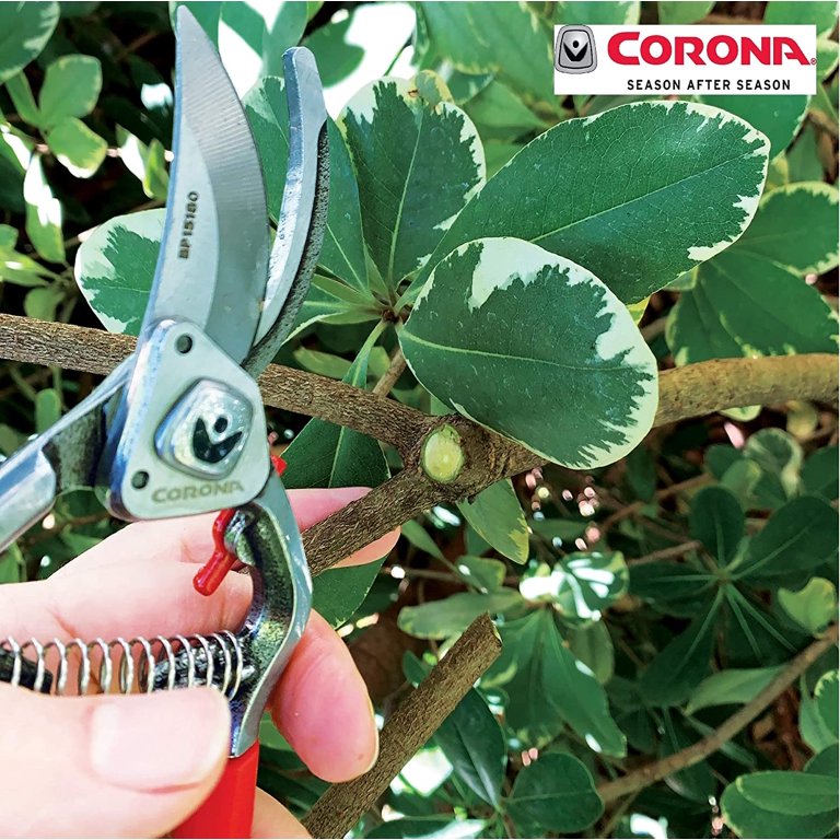 Corona Max Forged Pruner, Branch & Stem, Classic Cut