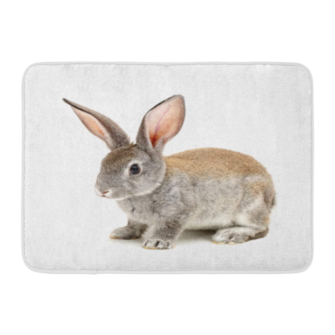 SIDONKU Gray House Grey Rabbit on Copy Fluffy Reproduction Small Space