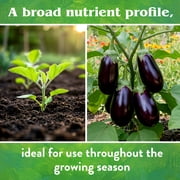 Down to Earth (#07854) Organic Vegetable Garden Fertilizer 4-4-4, 5# box