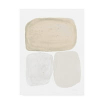 Trademark Fine Art 'Graystone Neutral' Canvas Art by Piper Rhue