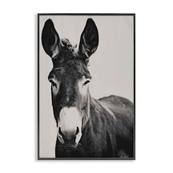 Stupell Industries Rustic Lodge Franz the Donkey Portrait Black Framed Giclee Art, 12 x 18, by Amy Carroll