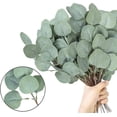thumbnail image 3 of 16 hojas de eucalipto artificiales, eucalipto artificial falso, plantas de hojas artificiales para fiestas, habitaciones y bodas, 3 of 6