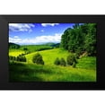 thumbnail image 2 of Hausenflock, Alan 24x17 Black Modern Framed Museum Art Print Titled - Rappahannock County III, 2 of 5