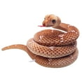 thumbnail image 3 of Holzlrgus Snake Stuffed Animal Plush Snakes Toys Giant Fake Python Lifelike Giant Boa Constrictor Soft Animal Prank Props for Home Party Decor, 3 of 4