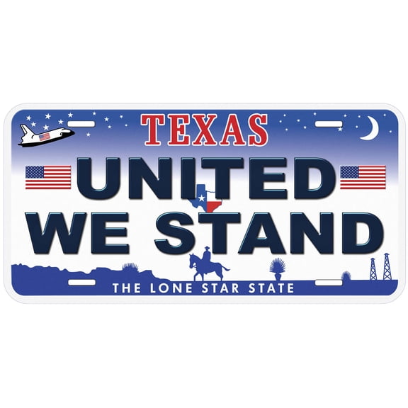 TX United We Stand Novelty Car Auto License Plate