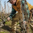 thumbnail image 2 of Alpen Electric Pruning Shear Wildhorn A-40, 2 of 8