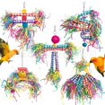 thumbnail image 1 of 5 Piece Set Parrot Toy Chewing Toy Drawing Toy Finger Set Zanthoxylum Bungeanum Wood Paper Silk Woven Tube Toy Set, 1 of 7