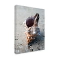 thumbnail image 2 of Elena Ray 'Gifts Of The Shore II' Canvas Art, 2 of 3
