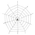 thumbnail image 1 of de Estilo de Colgando decoración de Halloween de Nilón Zulema Tela de araña, 1 of 7
