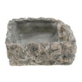 thumbnail image 4 of Xuanheng Crawler Feeding Dish, 4 of 8