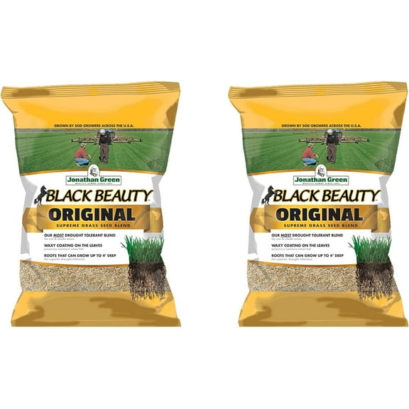 Jonathan Green 10315 Drought Tolerant Black Beauty Original Grass Seed Mix for Partial Shade Clay Soil Covers Up to 7,500 Square Feet, 25 lbs 2 Pack