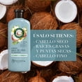 thumbnail image 2 of Acondicionador Herbal Essences Hidrata Agua De Coco & Jazmín 400 ml, 2 of 5