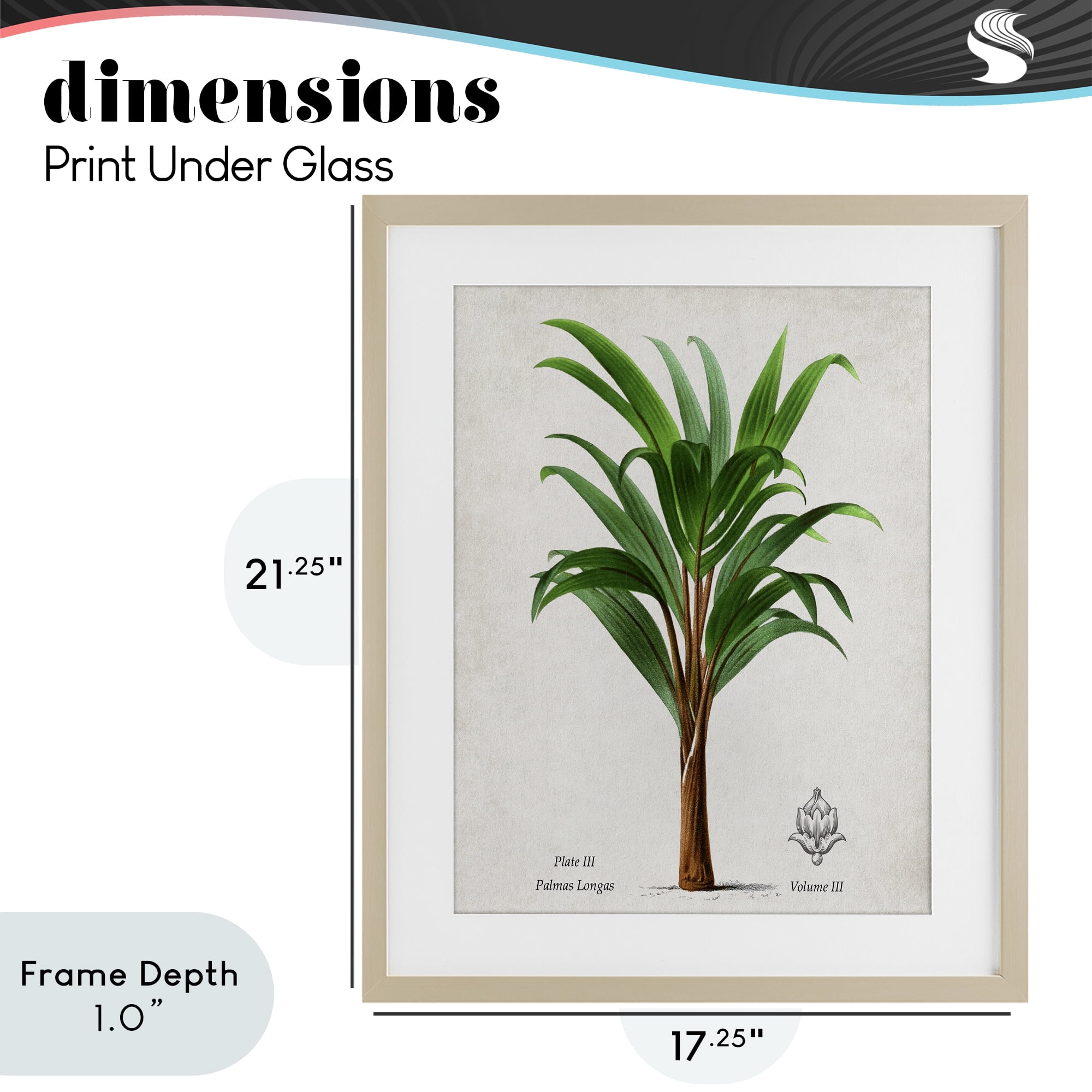 Stupell Industries Palmas Longas Palm Tree Birch Framed Print Under Glass, design by Val Rhodes