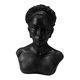 thumbnail image 4 of Soporte de exhibición de joyas, busto, organizador de colgantes, maniquí, modelo de busto, escultura para Negro, 4 of 9