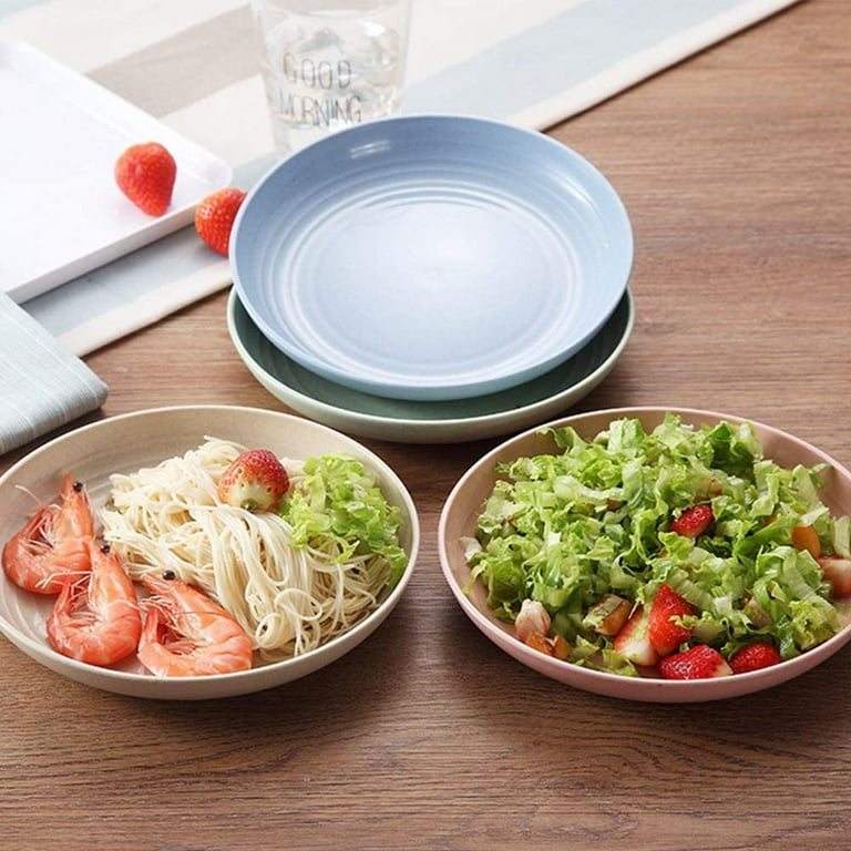 Extra large cheap dinner plate