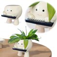 thumbnail image 4 of Bonitas Macetas Suculentas Con Cara Maceta Resina para Plantas Interior Y Exterior, 4 of 9