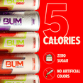 thumbnail image 4 of BUM Energy Soda Pack Variety, Zero Sugar Energy Drink, 112mg Caffeine, Crash Free Focus, 12 fl oz Cans, 12 Pack, 4 of 13