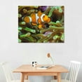 thumbnail image 2 of ARISTURING Bali Ocean Clownfish Anemonefish Room Aesthetics Posters Canvas Posters Bedroom Decoration Sports Office Decoration Gifts Wall Art Decoration Printing Posters, 2 of 6