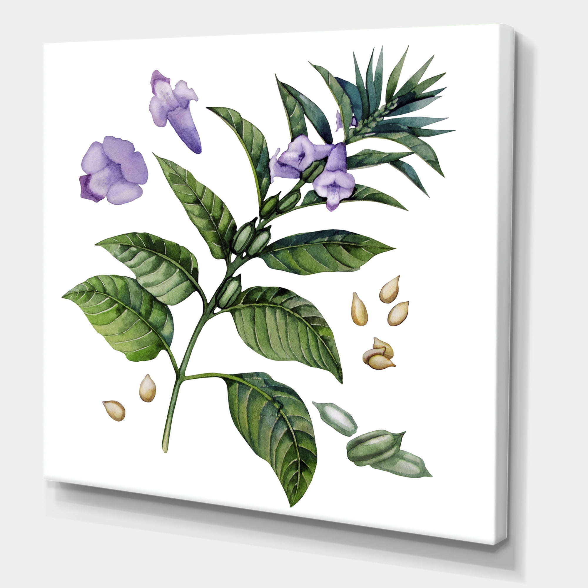 Designart ' Purple Sesame Flowers WIth Green Leaves On White ' Traditional Canvas Wall Art Print