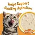 thumbnail image 6 of Purina Friskies Lil' Soups Chicken in Tuna Broth, Wet Cat Food, 1.2 oz Tubs, 8 Pack, 6 of 12