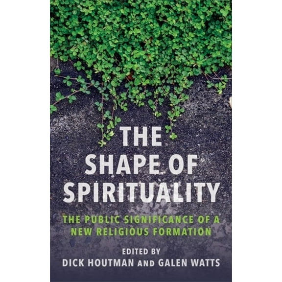 The Shape of Spirituality: The Public Significance of a New Religious Formation, (Paperback)