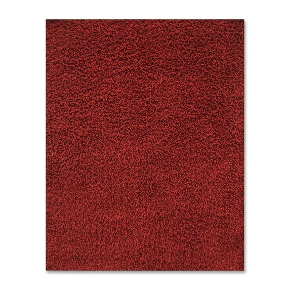 Anji Mountain Silky Shag Rug-Color:Crimson,Size:5'W x 8'L