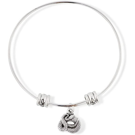 Snake Coiled Fancy Charm Bangle