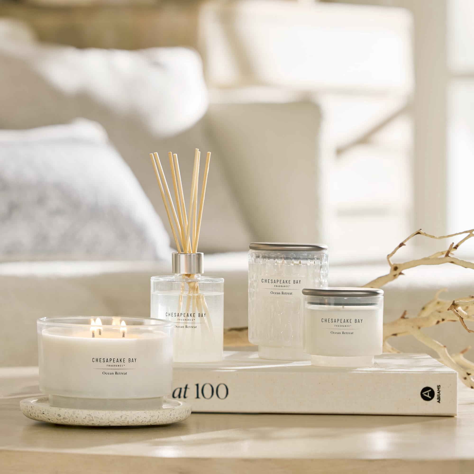 Chesapeake Bay Candle 14.5oz | Ocean Retreat Scent |Exclusive Mood Evoking Fragrance |Sea Glass-Inspired Jar | Premium Soy Blend Wax with Essential Oils | Coastal Fragrance for Home Décor or Gifting