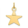 thumbnail image 3 of 14k Yellow Gold Star Disc Charm Pendant, 3 of 3