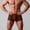 Coffee, variant on Men's Briefs with Mesh Panels for Daily Wear and Sports - Breathable Comfort Underwear with Sheer Mesh Detail for Everyday Leisure and Party-Ready Support