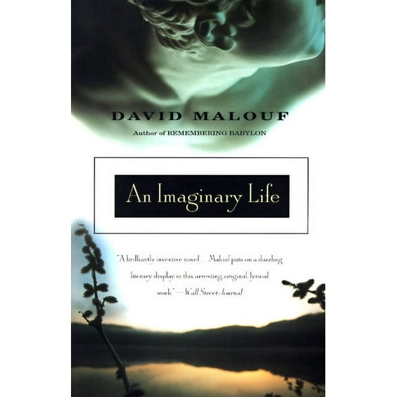 Vintage International: An Imaginary Life (Paperback)