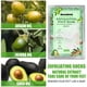 thumbnail image 3 of Nut Oil Essentials Pies Peeling Mascarilla Anti Grietas Piel muerta Parche exfoliante Likrtyny cuidado belleza, 3 of 6