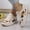 Beige, variant on Hoshose Womens Platform Sneakers PU Leather Shoes Leopard Print & Lace-Up Design Running/Casual Shoes Plus Size