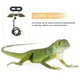 thumbnail image 4 of MasteelfCA 5 Pcs Dragon Barbu Harnais et Laisse Réglables Reptile Lézard avec Aile, 4 of 8