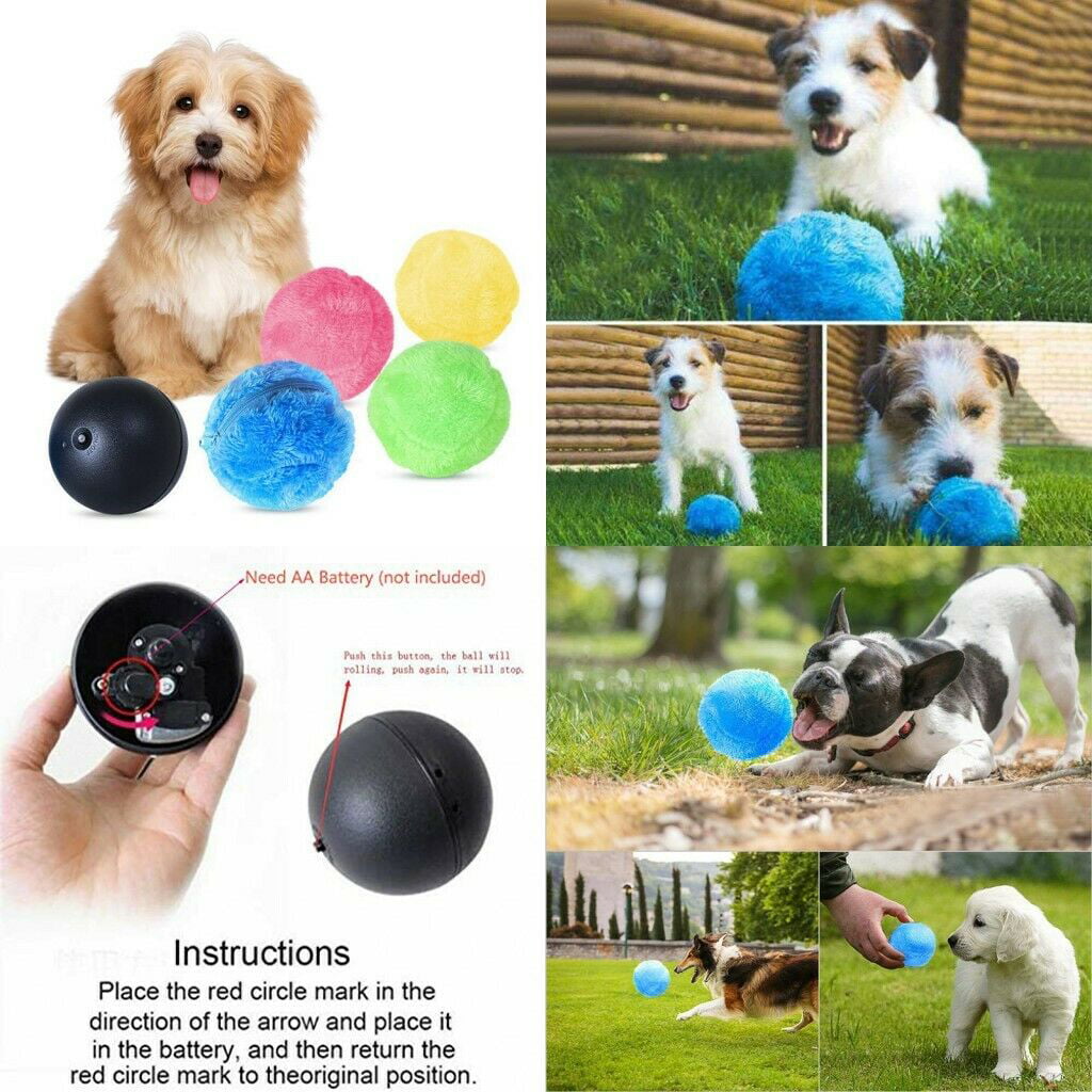 active dog ball